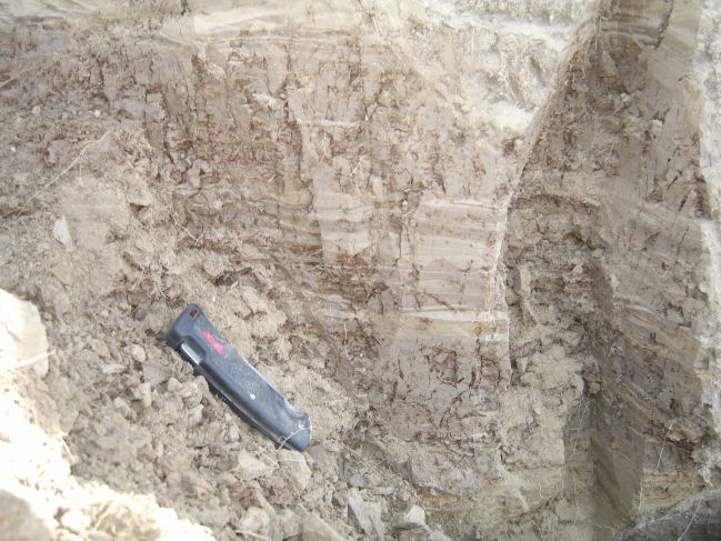  2006:09:14 02:49:26   AbandonedCh2a - interlaminated fine sand and mud - photo 1.jpg